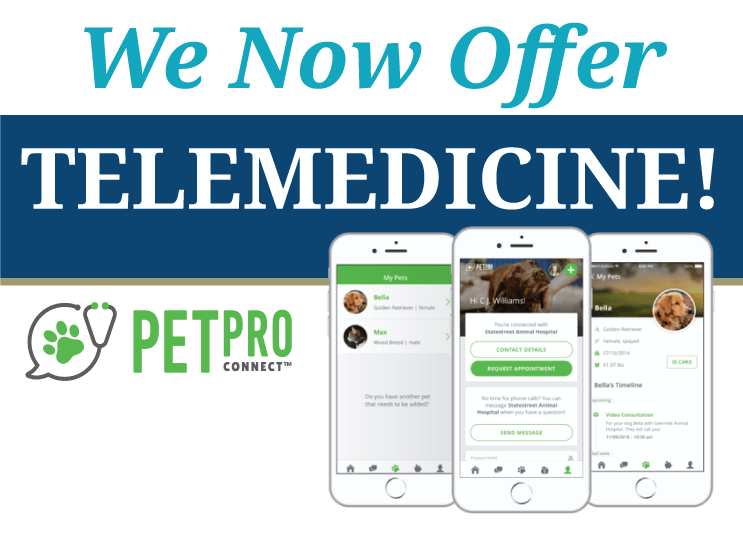 We Now Offer Telemedicine!